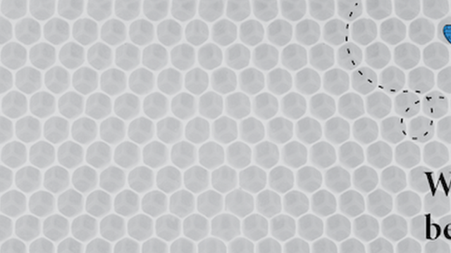 Blue Bee Bankruptcy Law