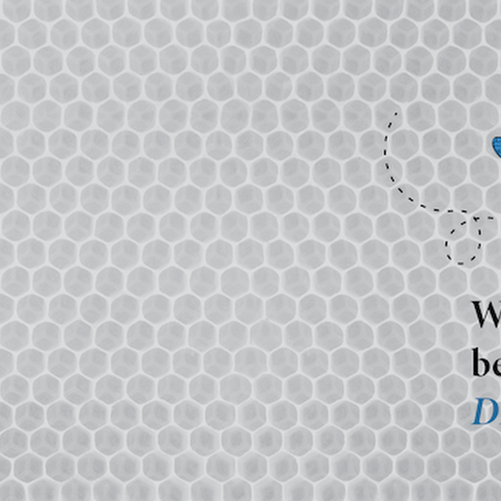 Blue Bee Bankruptcy Law