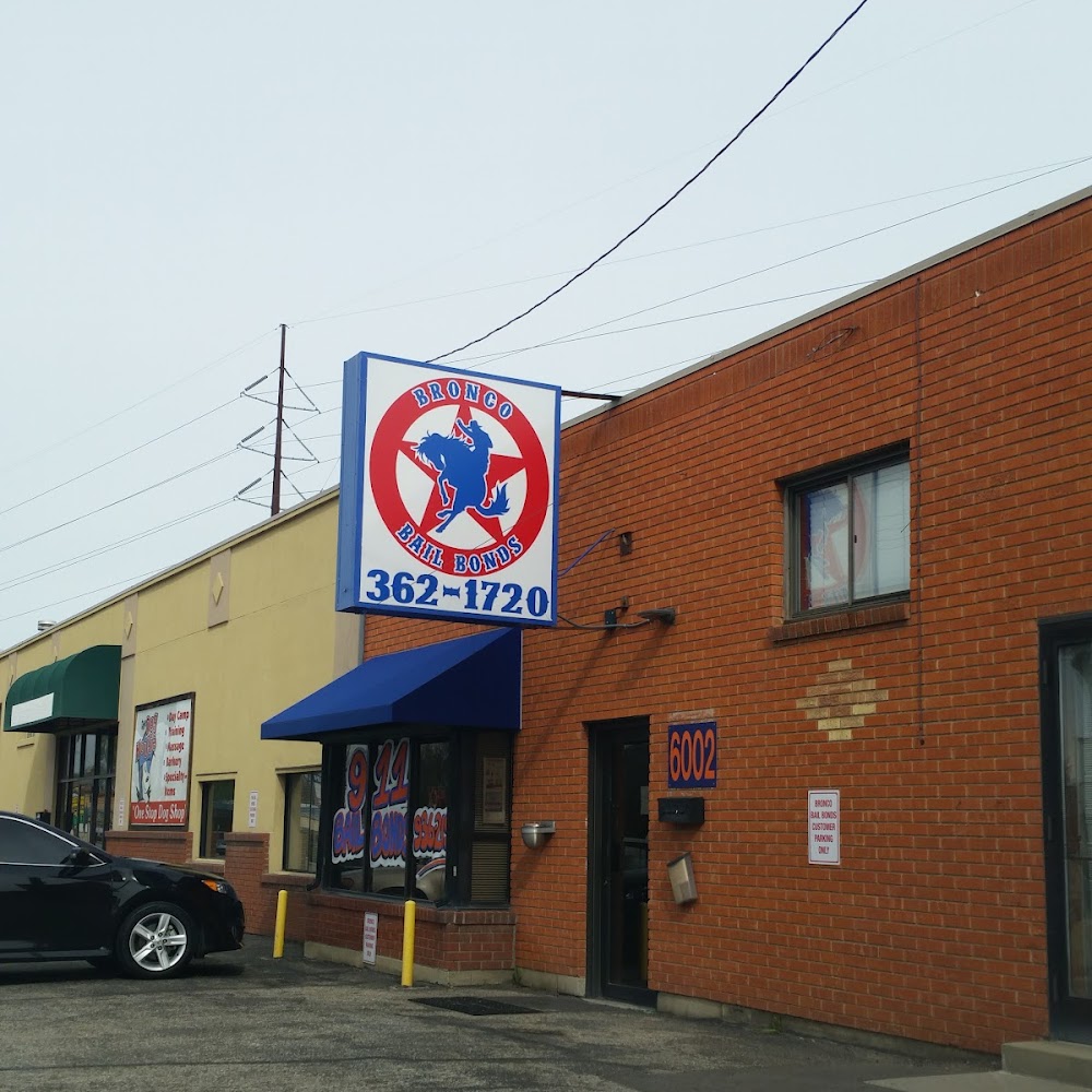 Bronco Bail Bonds