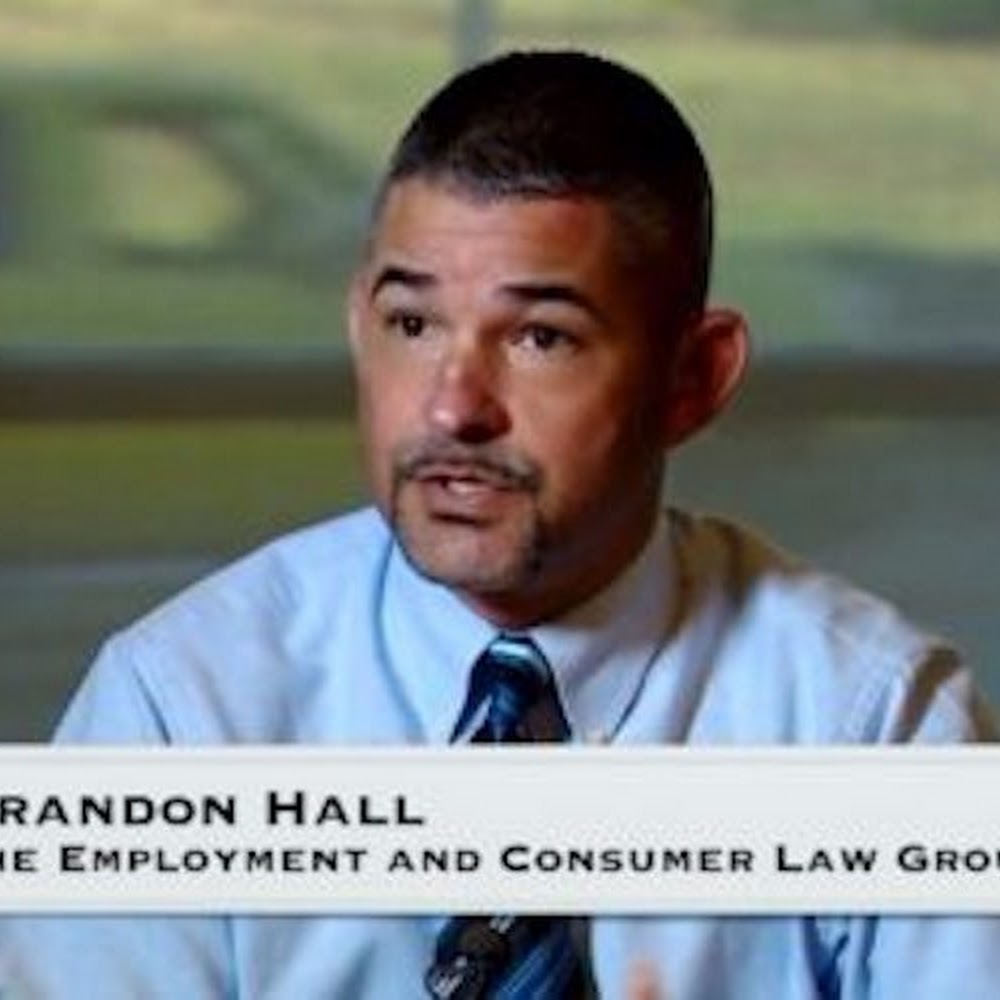 Employment and Commerce Law Group