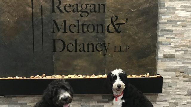 Reagan, Melton & Delaney, L.L.P.